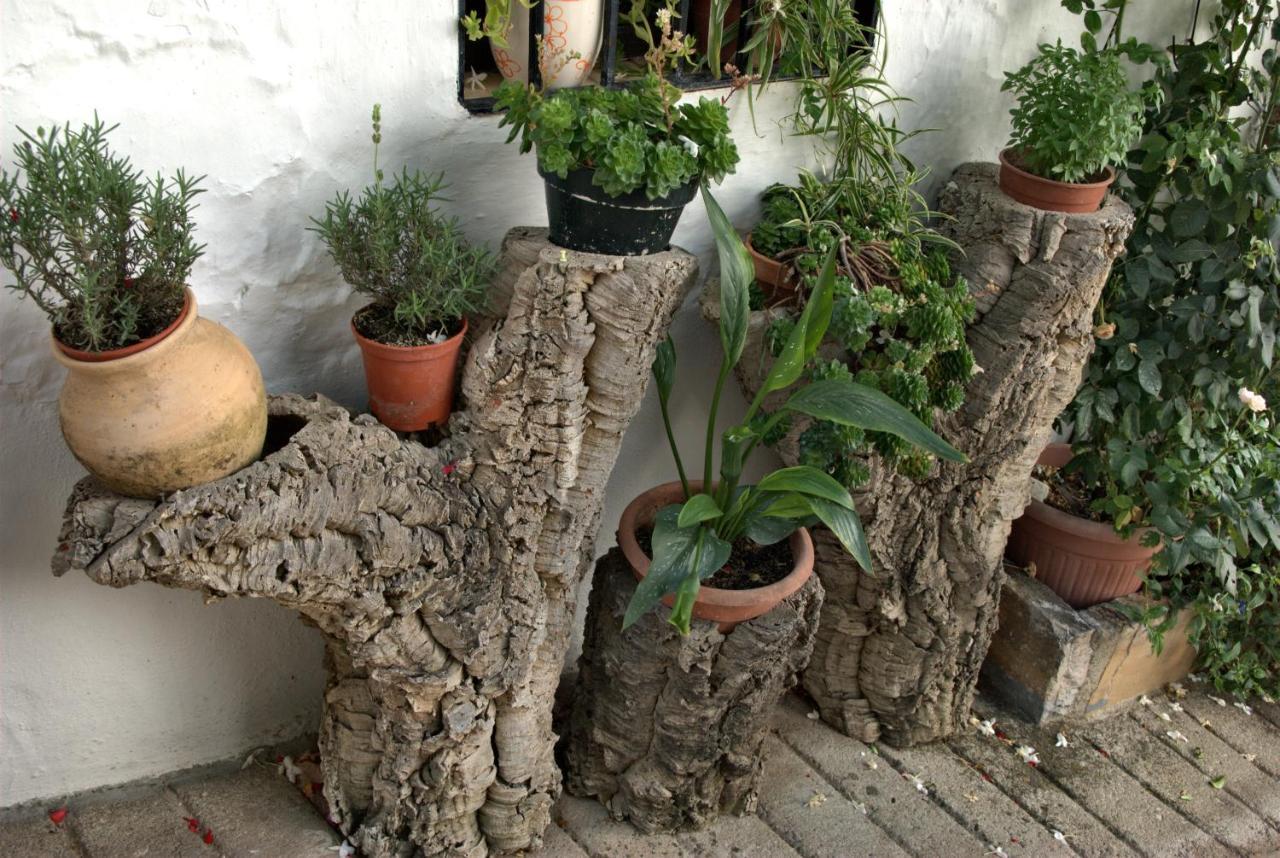 Cruzchiquita Villa Alpandeire Dış mekan fotoğraf