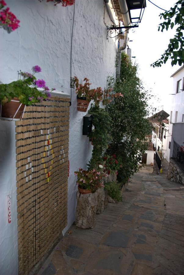 Cruzchiquita Villa Alpandeire Dış mekan fotoğraf
